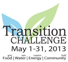 Transition-Challenge-Logo